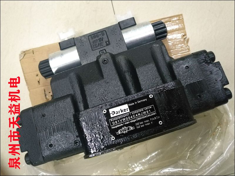 D81VW004C4NJW91
